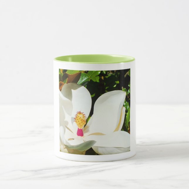 Caneca Doenças do (Centro)