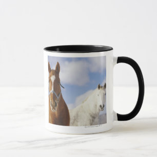 Caneca Dois cavalos