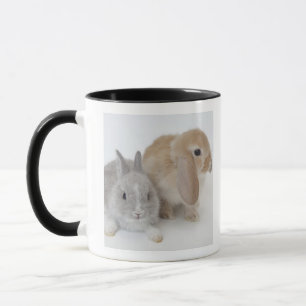 Caneca Dois coelhos. Anão de Netherland e Holland Lop.