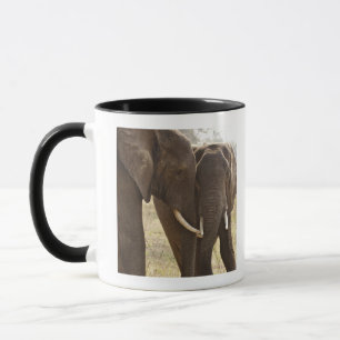 Caneca Dois elefantes de Bush do africano (Loxodonta