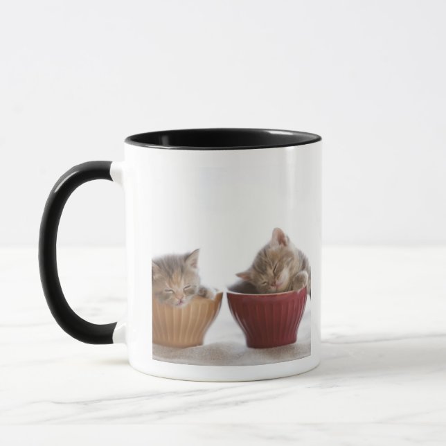 Caneca Dois gatinhos que dormem em umas bacias (Esquerda)
