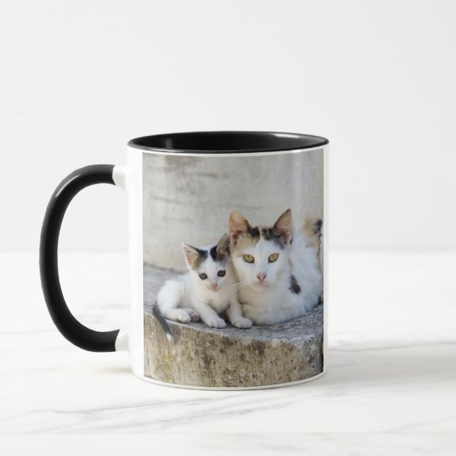 Caneca Dois gatos nas etapas de pedra (Esquerda)