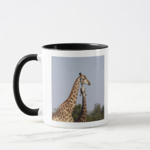 Caneca Dois girafa, parque nacional de Kruger, África do