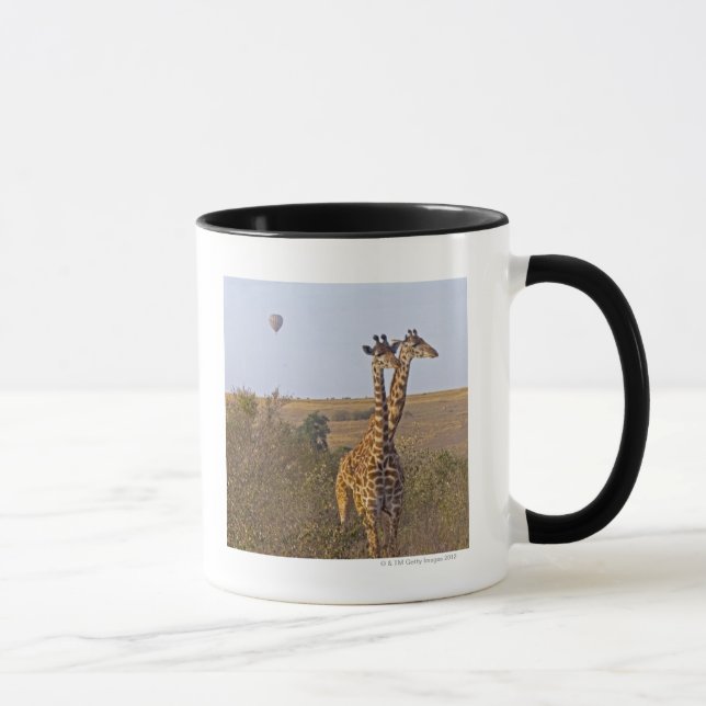 Caneca Dois girafas (camelopardalis) do Giraffa, Masai (Direita)
