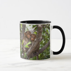 Caneca Dois macacos em uma árvore