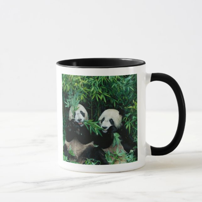Caneca Dois pandas comendo bambu juntos, Wolong (Direita)