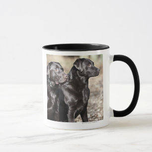 Caneca Dois retrievers de Labrador pretos