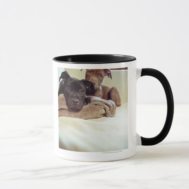 Caneca Dois terrier de pitbull que sentam-se dentro, (Direita)