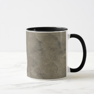 Caneca Dólar de areia (Echinarachnius parma)