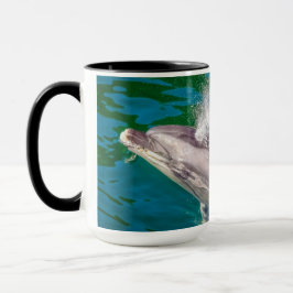 Caneca Dolphin In Milford Sound, Nova Zelândia