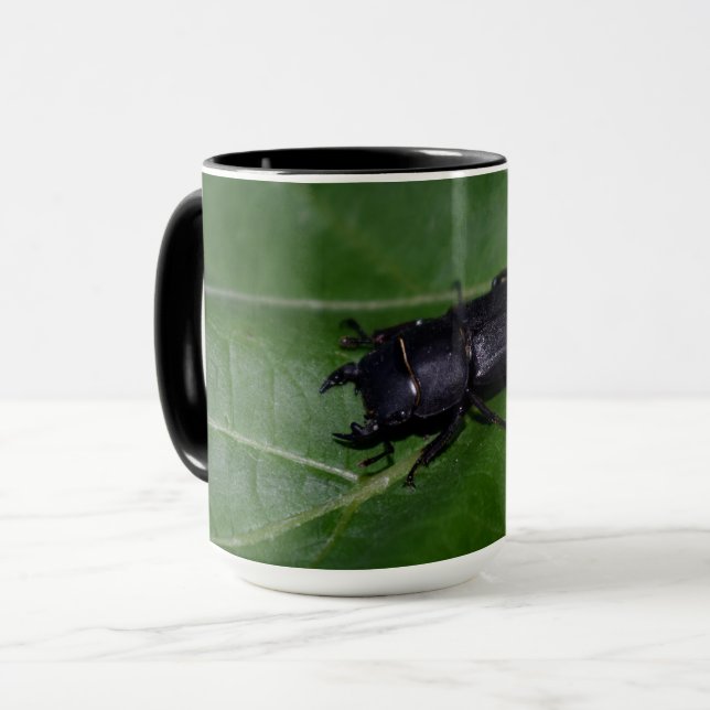 Caneca Dorcus parallelipipedus , o escaravelho inferior (Frente Esquerda)
