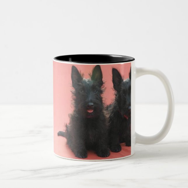 Caneca dos filhotes de cachorro de Terrier do (Direita)