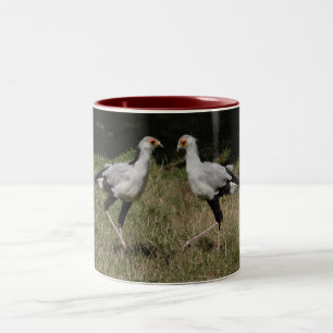 Caneca dos pássaros de secretário da dança