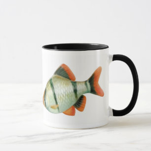 Caneca dos peixes do aquário de Barb do tigre