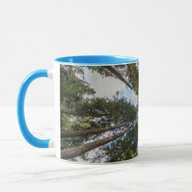 Caneca dossel da árvore Douglas Fir (Esquerda)