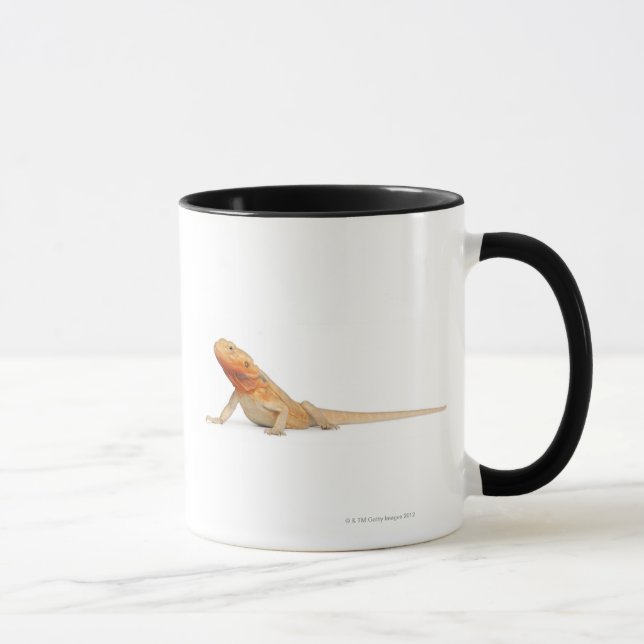 Caneca Dragão farpado scaleless de SilkBacks - Pogona (Direita)