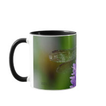 Dragonfly 2
