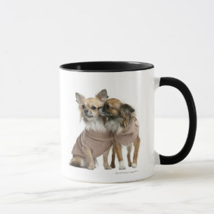 Caneca Duas chihuahuas vestidas (2 anos velho)