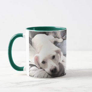 Caneca Duas fotos do Adorável Puppy Branco e Preguiçoso