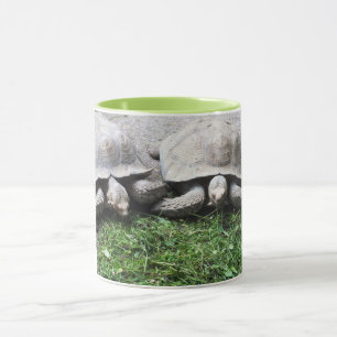 Caneca Duas tartarugas alimentando