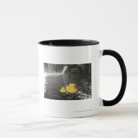 Duckies de borracha japonês