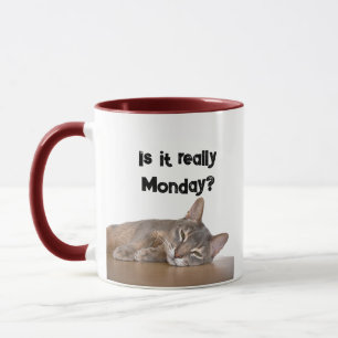 Caneca É Mesmo Segunda? Meme Gato Abissino Engraçado