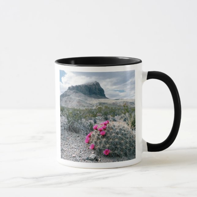 Caneca E.U.A., Texas, Parque Nacional Big Bend. Em flor (Direita)