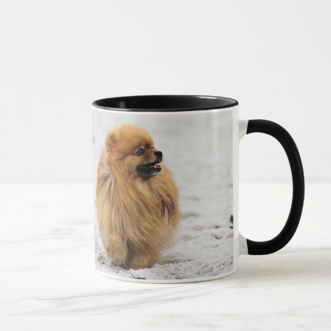 Caneca Edgrrrr #3 - Pomeranian (Direita)