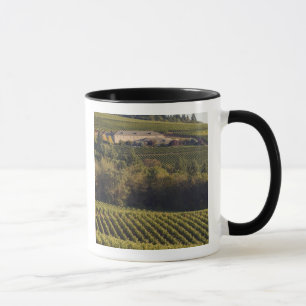 Caneca Edifício bege do Archery Summit assenta-se no topo