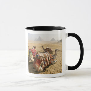 Caneca Egito, Cairo. Camelos descansando