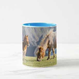 Caneca Égua com potro, Ilhas Shetland, Escócia