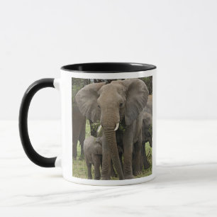 Caneca Elefante Africano Manada
