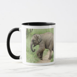 Caneca Elefante bebê seguindo a mãe, Corbett