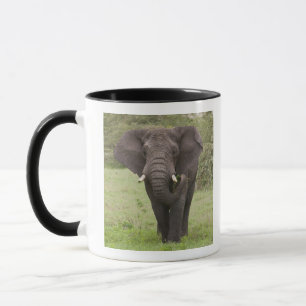 Caneca Elefante da Tanzânia africana na cratera de Ngoron