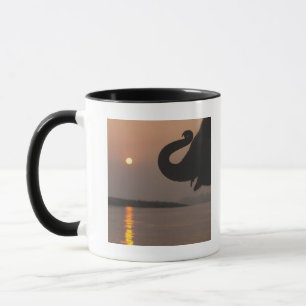 Caneca Elefante, parque nacional de Chitwan, Nepal