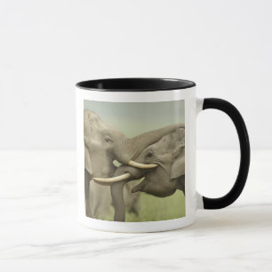 Caneca Elefantes asiáticos indianos jogam lutando