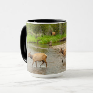 Caneca Elks atravessando o Rio Colorado