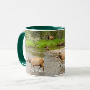 Caneca Elks atravessando o Rio Colorado