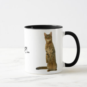 Caneca engraçada do gato