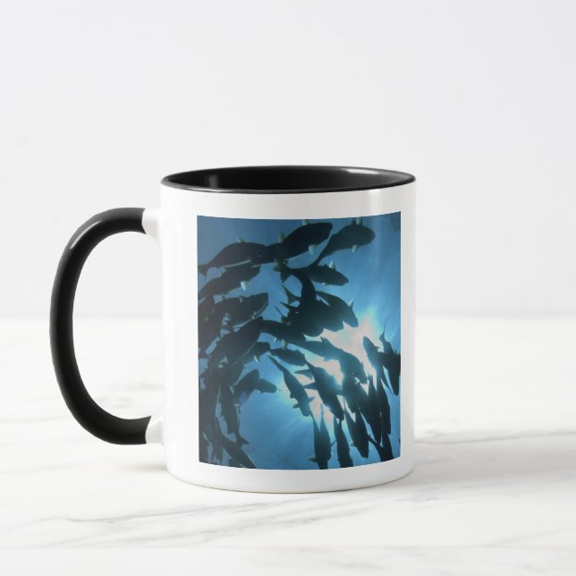 Caneca Equador, arquipélago de Galápagos, ilha do lobo, (Esquerda)