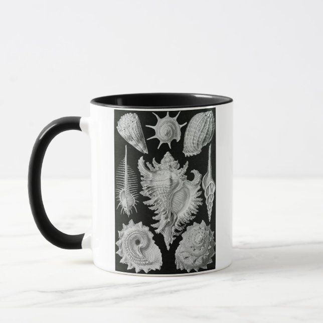 CANECA ERNST HAECKEL (Esquerda)