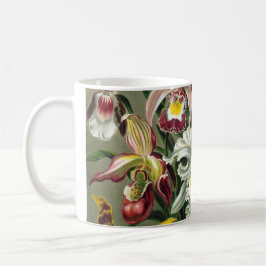 Caneca Ernst Haeckel Orquídeas, Flores da Floresta Tropic
