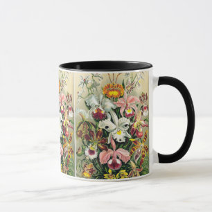 Caneca Ernst Haeckel - Orquídeos