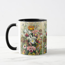 Caneca Ernst Haeckel - Orquídeos