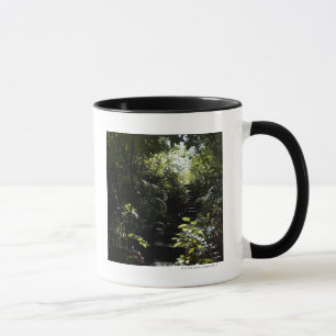 Caneca Escadaria/passeio rústicos na floresta, luz solar