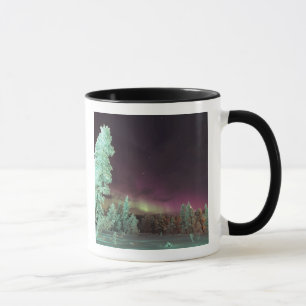 Caneca Escandinávia, Finlândia, Lapónia, Kakslauttanen