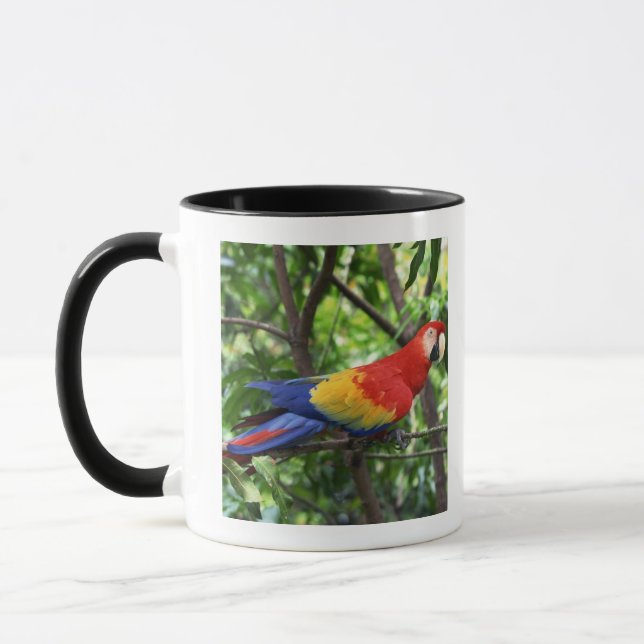Caneca Escarlate do macaw no membro de árvore (Esquerda)