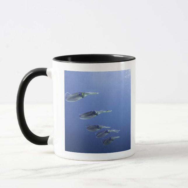 Caneca Escola do calamar no caribe (Esquerda)