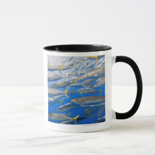Caneca Escola dos corredores de arco-íris, mar de Cortez