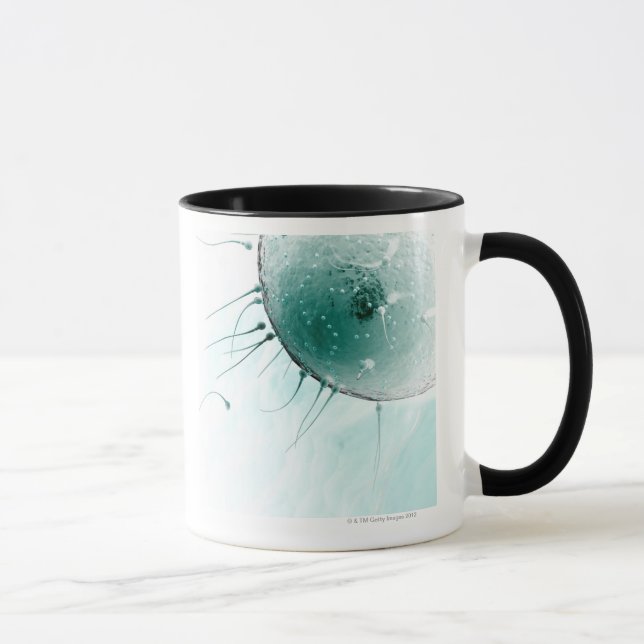 Caneca Esperma que fertiliza um óvulo (Direita)